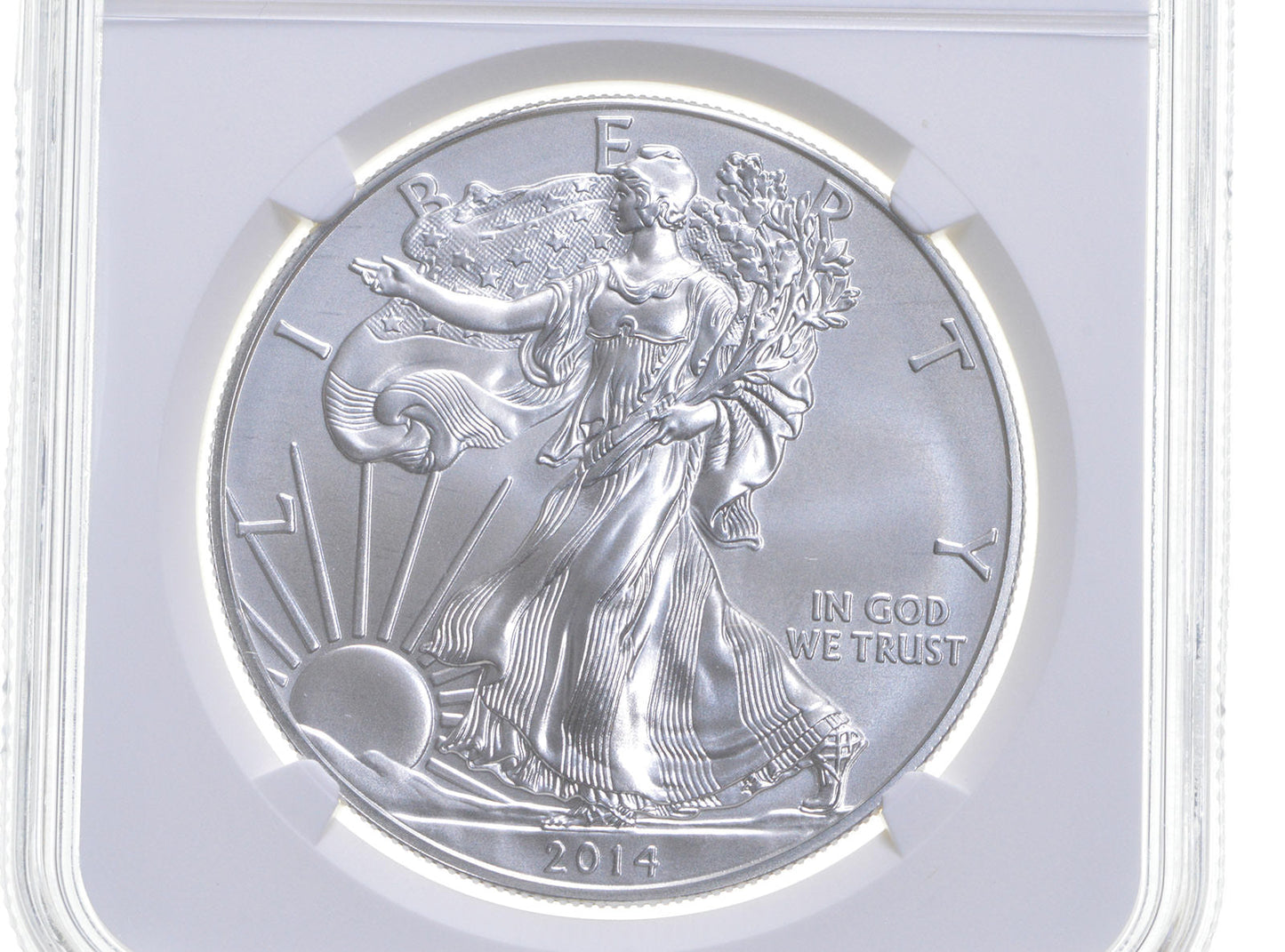 MS70 2014 W BURNISHED SILVER EAGLE NGC CLASSIC BROWN LABEL