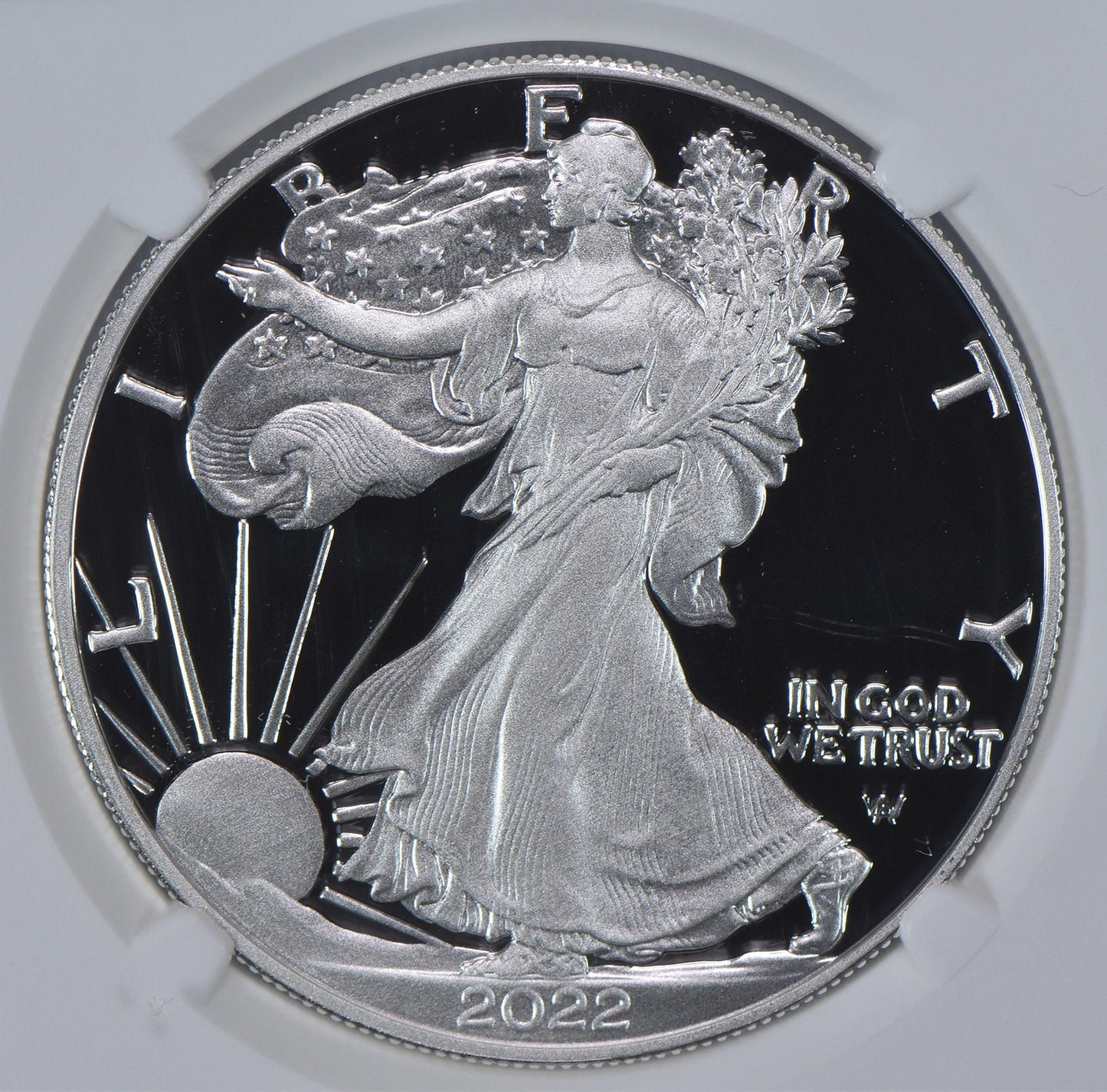 2022-S American Silver Eagle Proof 9.9 UCAM NGC X NGCX