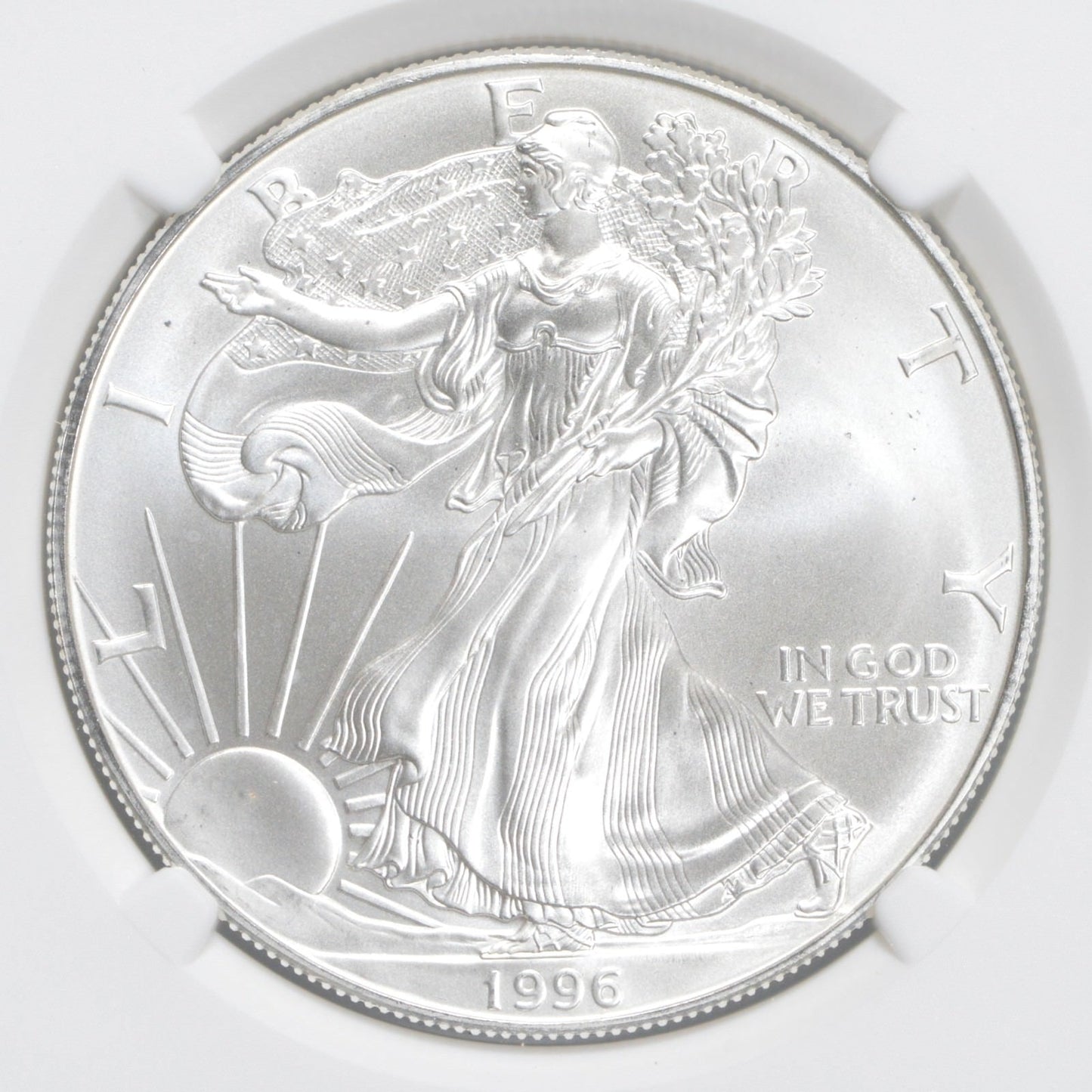MS69 1996 American Silver Eagle NGC Brown Label